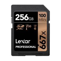 Карта памяти Lexar SDXC Memory Card 256Gb V30 UHS-I U3