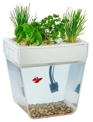Aquafarm Акваферма
