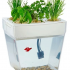 Aquafarm Акваферма
