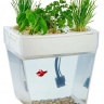 Aquafarm Акваферма