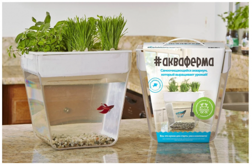 Aquafarm Акваферма