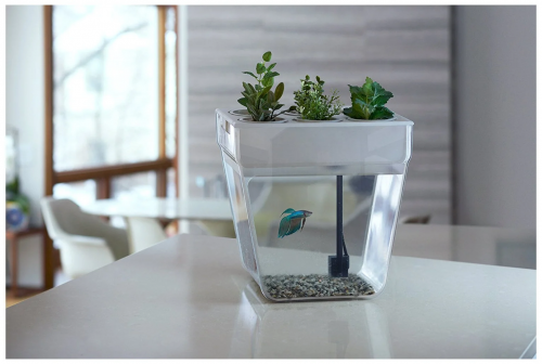 Aquafarm Акваферма