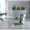 Aquafarm Акваферма