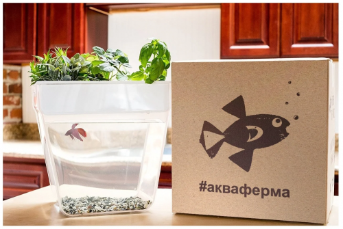 Aquafarm Акваферма