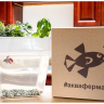 Aquafarm Акваферма