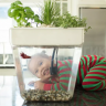 Aquafarm Акваферма