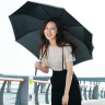 Зонт унисекс Pinlo Automatic Umbrella PLZDS04XM (черный)