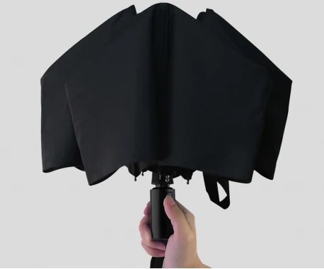 Зонт унисекс Pinlo Automatic Umbrella PLZDS04XM (черный)