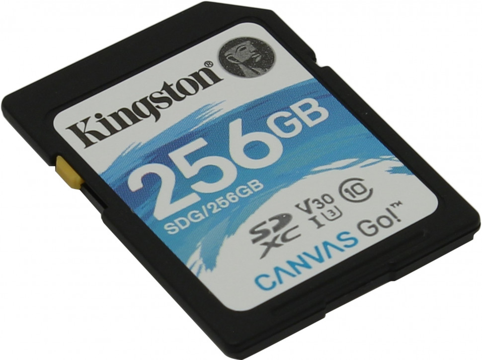 Карта памяти kingston canvas go plus sdxc 256 гб sdg3 256gb