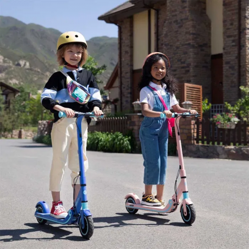 Самокат электрический Ninebot eKickScooter Zing E8 Розовый