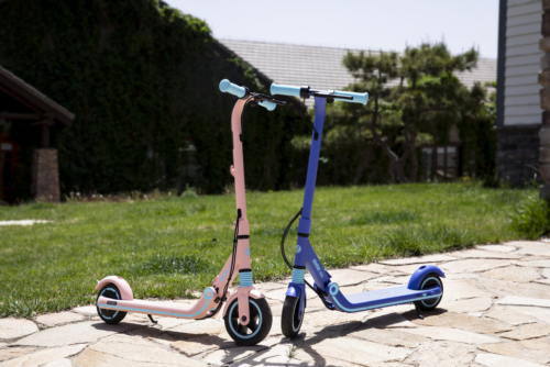 Самокат электрический Ninebot eKickScooter Zing E8 Розовый