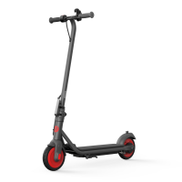 Самокат электрический Ninebot KickScooter C20