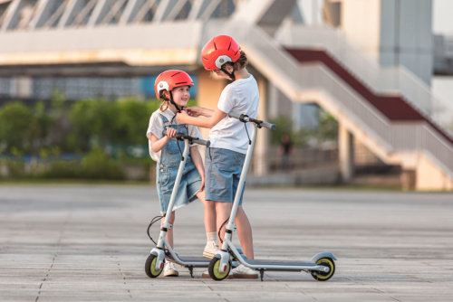 Самокат электрический Ninebot KickScooter C8